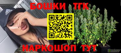 герыч Новодвинск
