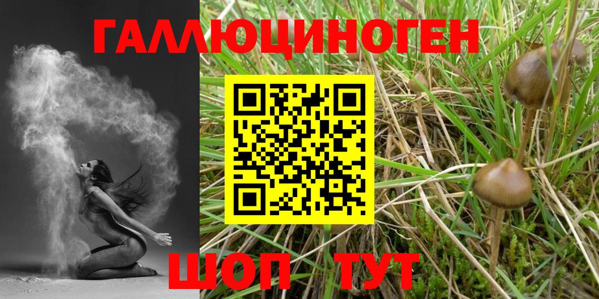 Усть-Джегута  Псилоцибиновые грибы Psilocybe  Галлюциногенные грибы MAGIC MUSHROOMS  Вход с VPN 
