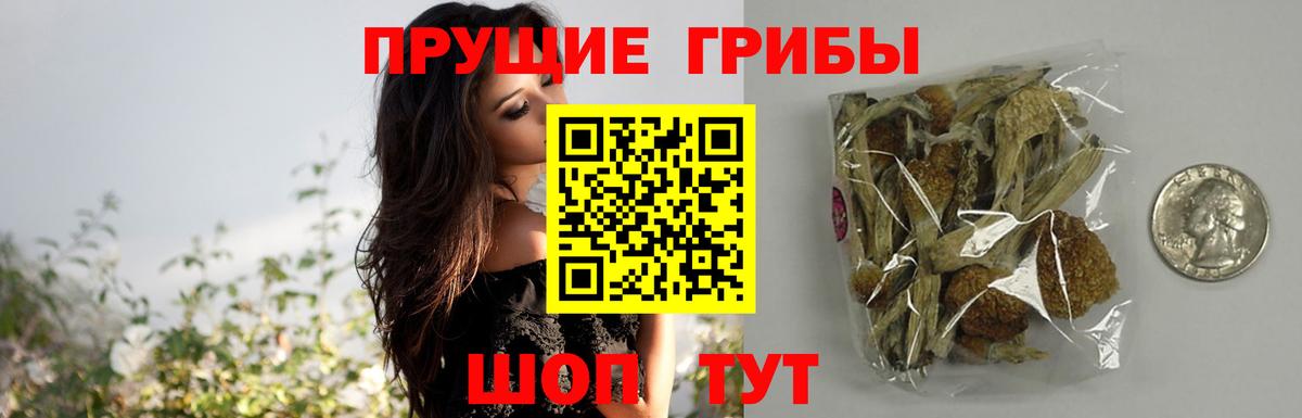 Галлюциногенные грибы Magic Shrooms Усть-Джегута